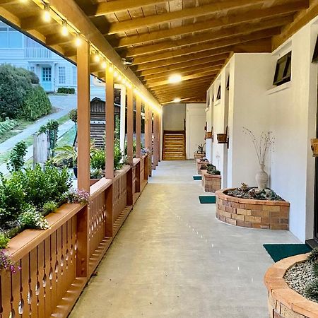 The Swiss Chalet Holiday Apartment 5, Bay Of Islands Пайхия Екстериор снимка